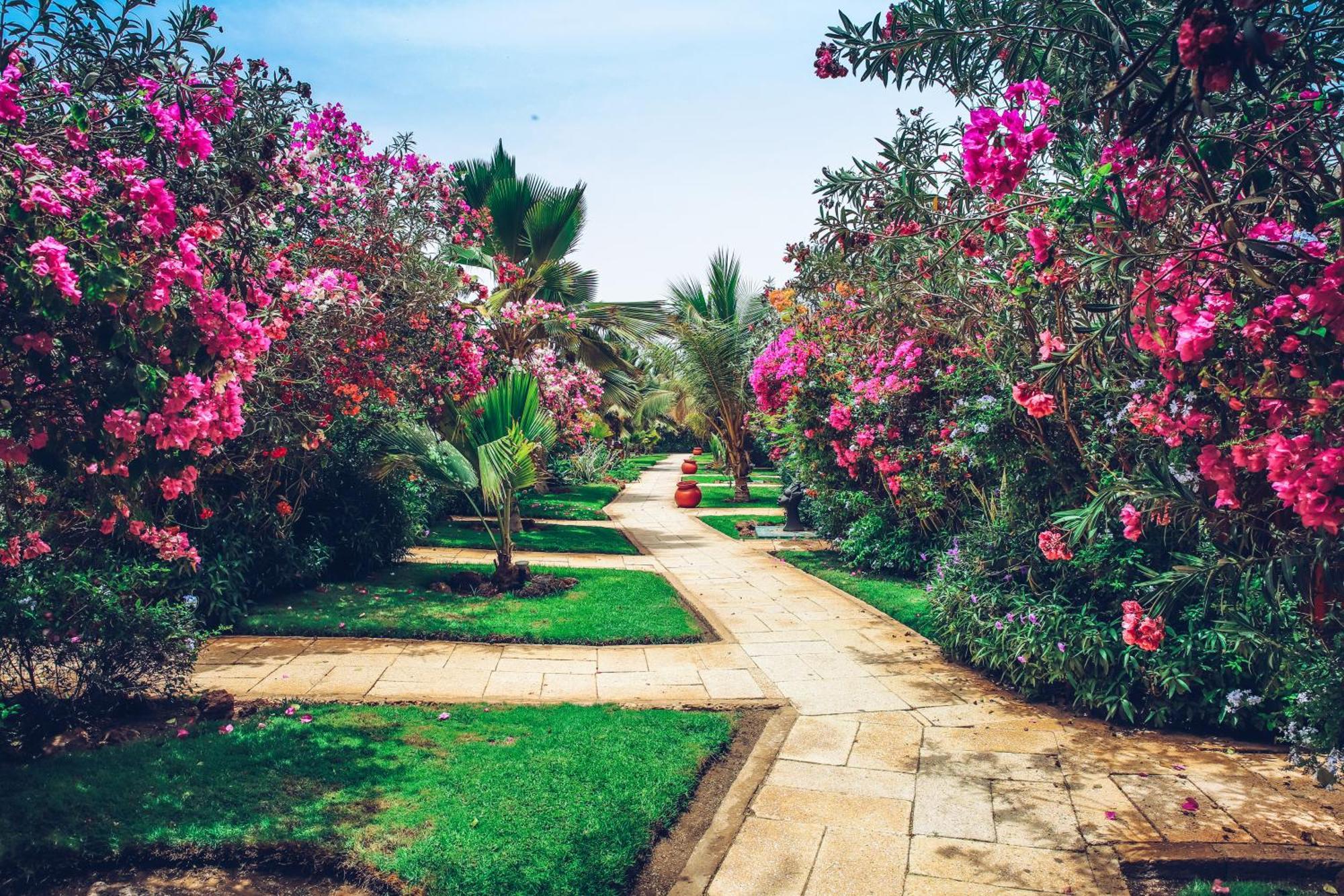 Royal Horizon Baobab Otel Somone Dış mekan fotoğraf